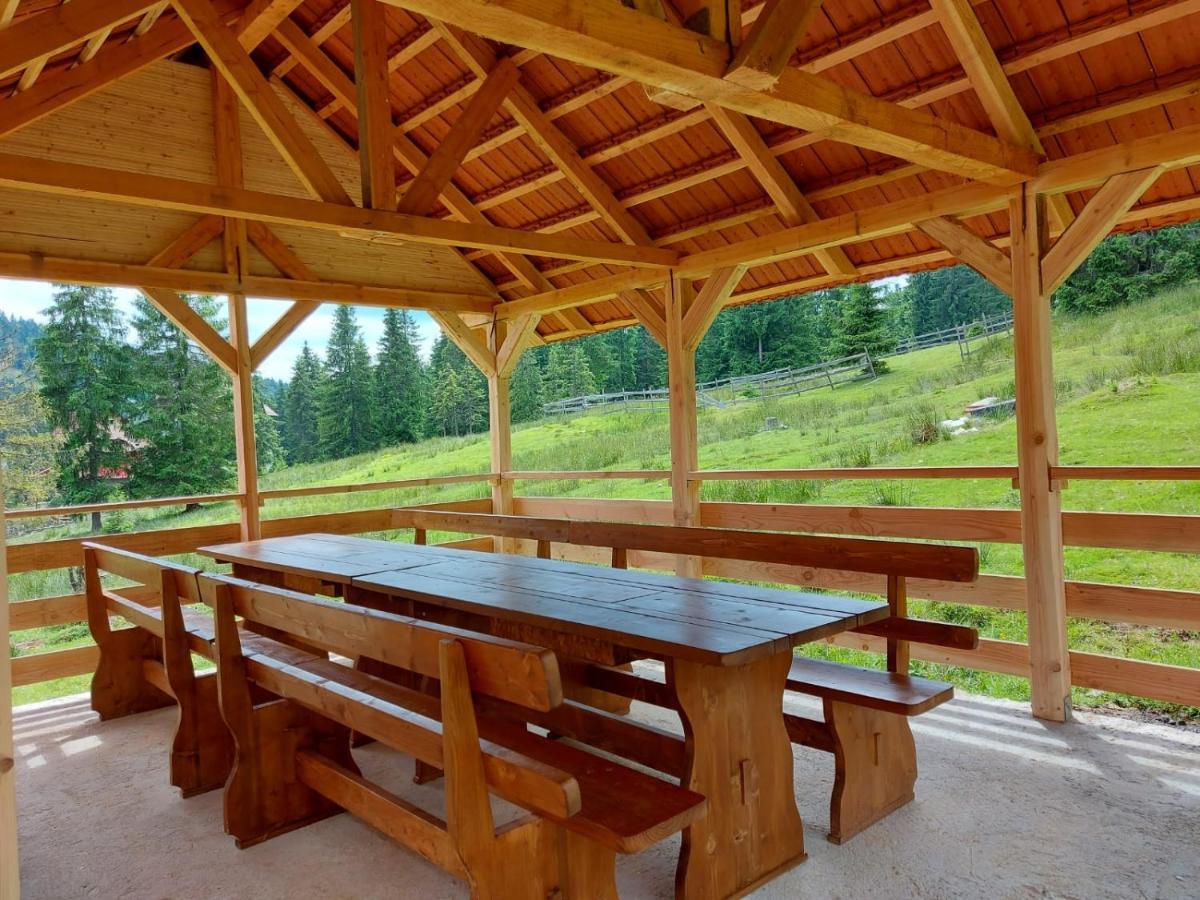 Vila Casa Bogdan Vartop Exteriér fotografie