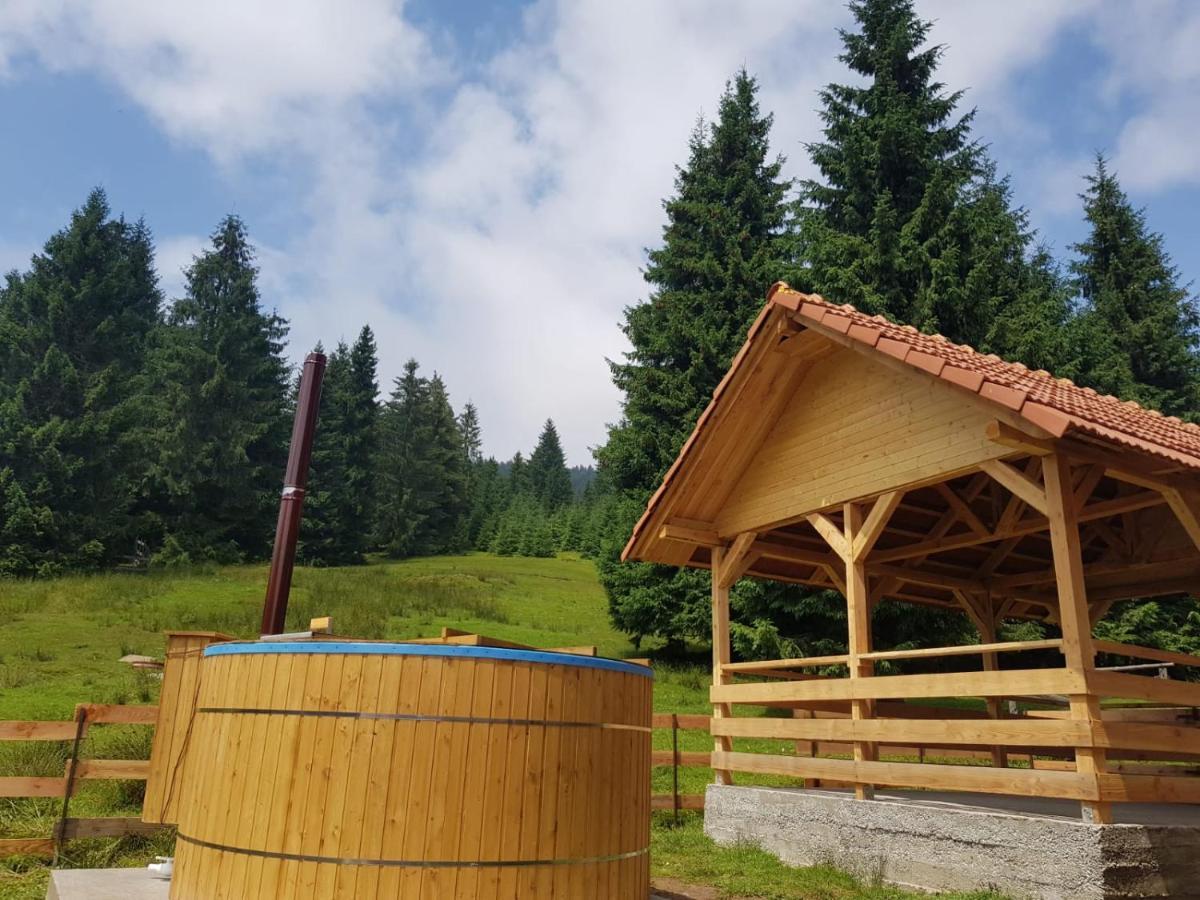Vila Casa Bogdan Vartop Exteriér fotografie