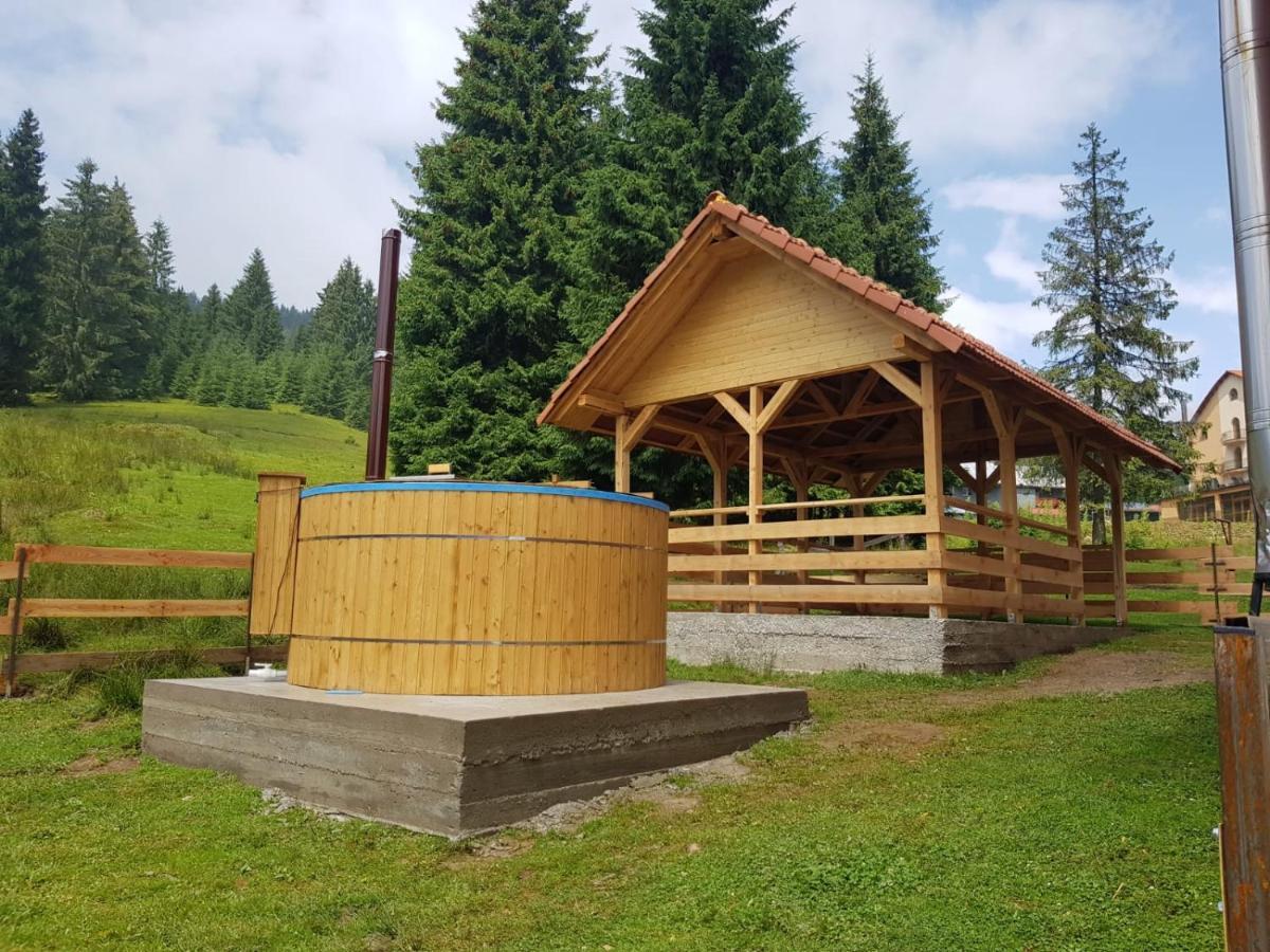 Vila Casa Bogdan Vartop Exteriér fotografie