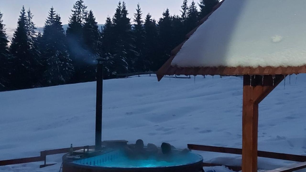 Vila Casa Bogdan Vartop Exteriér fotografie